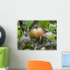 Tomato with fungus Wall Mural