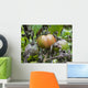 Tomato with fungus Wall Mural
