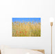 Rye field with flowers, rye with field flowers Wall Mural