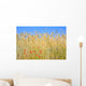 Rye field with flowers, rye with field flowers Wall Mural