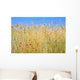 Rye field with flowers, rye with field flowers Wall Mural