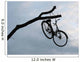 Bicycle up on a Tree Wall Mural