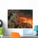 Lava