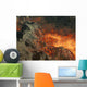 Lava