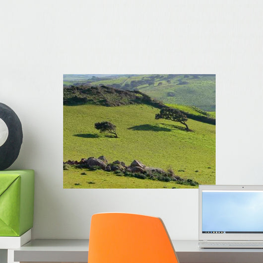 Sardinia Where Mistral Wind Wall Decal