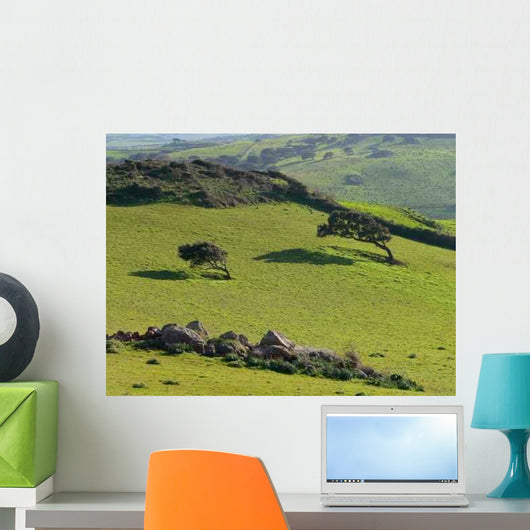 Sardinia Where Mistral Wind Wall Decal