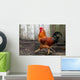 Beautiful Red Cock Wall Mural