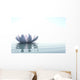 Zen Flower Loto in Water Wall Mural