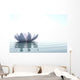 Zen Flower Loto in Water Wall Mural