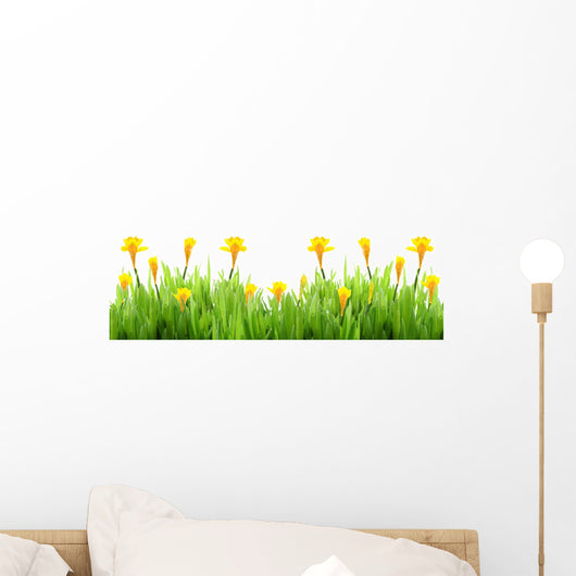 Spring grass with daffodils Wall Decal