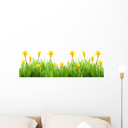 Spring grass with daffodils Wall Decal