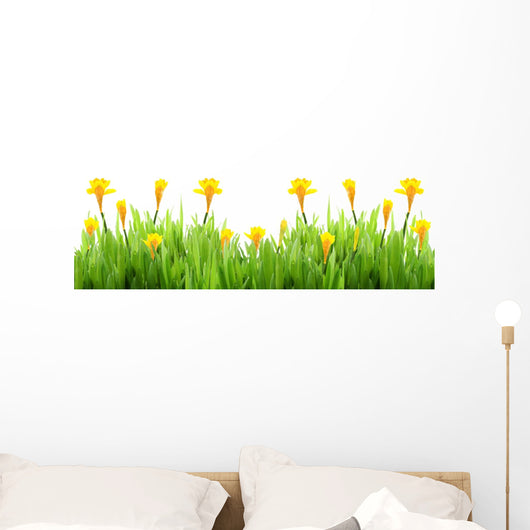 Spring grass with daffodils Wall Decal