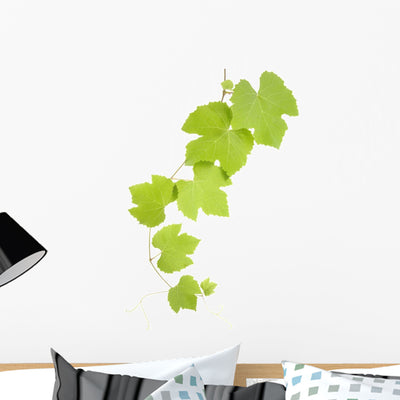 Grape Leaves Wall Decal shown on a wall
