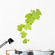 grape leaves Wall Decal
