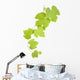 grape leaves Wall Decal