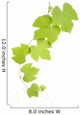 grape leaves Wall Decal