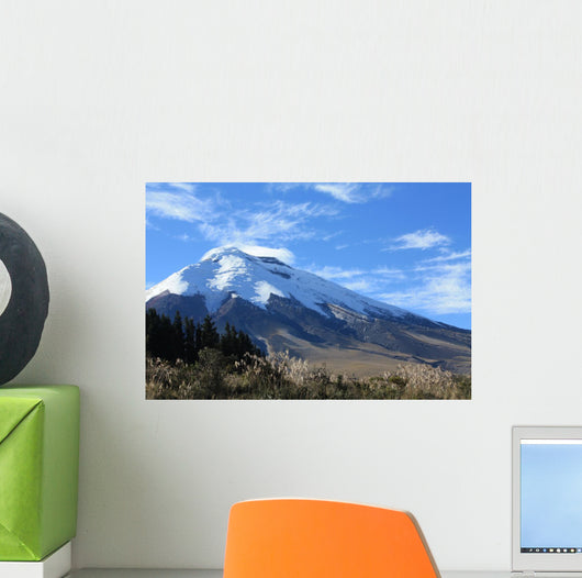 Cotopaxi Wall Mural