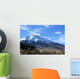 Cotopaxi Wall Mural