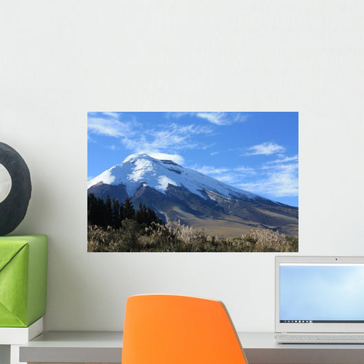 Cotopaxi Wall Mural