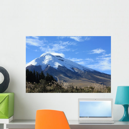 Cotopaxi Wall Mural