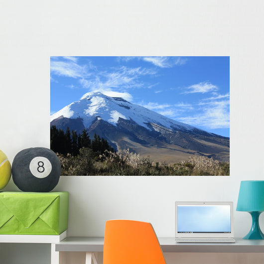 Cotopaxi Wall Mural