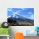 Cotopaxi Wall Mural