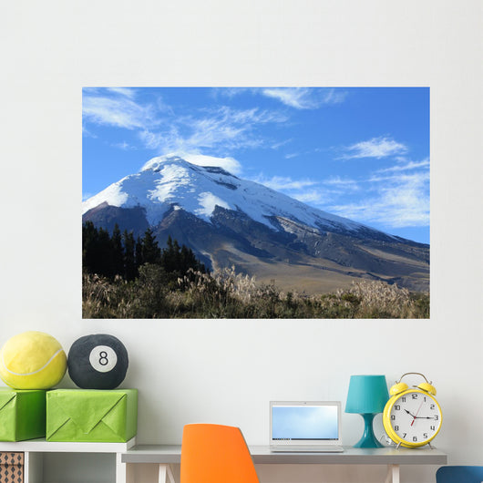 Cotopaxi Wall Mural