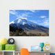 Cotopaxi Wall Mural