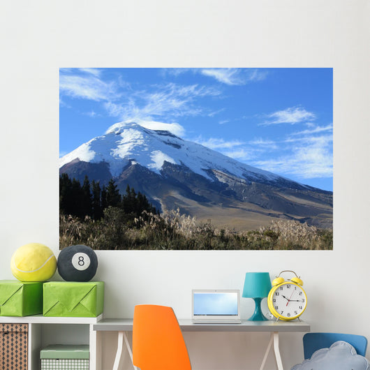 Cotopaxi Wall Mural