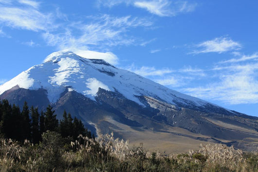Cotopaxi Wall Mural