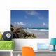 Sea Wall Decal Design 3