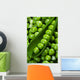Fresh green peas Wall Mural