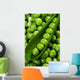 Fresh green peas Wall Mural