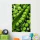 Fresh green peas Wall Mural