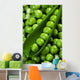 Fresh green peas Wall Mural