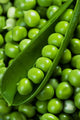 Fresh green peas Wall Mural