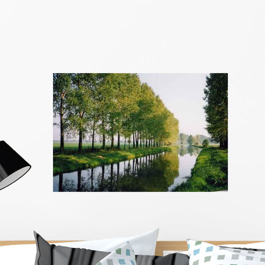Reflection River Wall Decal