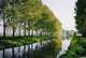 Reflection River Wall Decal