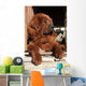 Tibetan Mastiff Wall Mural