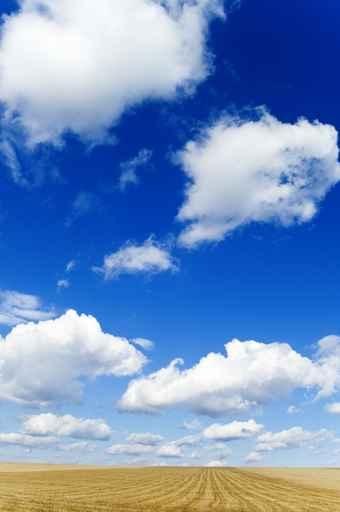 White Clouds Wall Decal Design 3