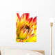 Dahlia Wall Mural