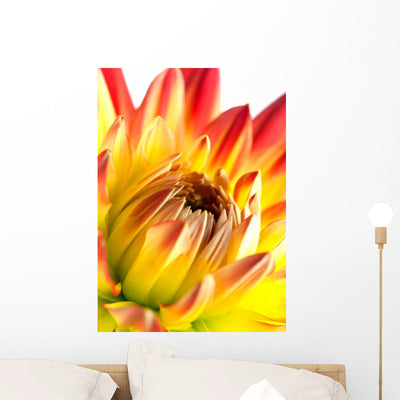 Dahlia Wall Mural shown on a wall