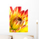 Dahlia Wall Mural