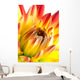 Dahlia Wall Mural