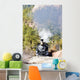 Durango and Silverton Narrow Gauge Railroad, Colorado, USA Wall Mural