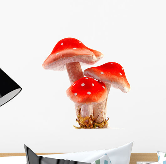 Poisonous Red Mushroom Wall Decal