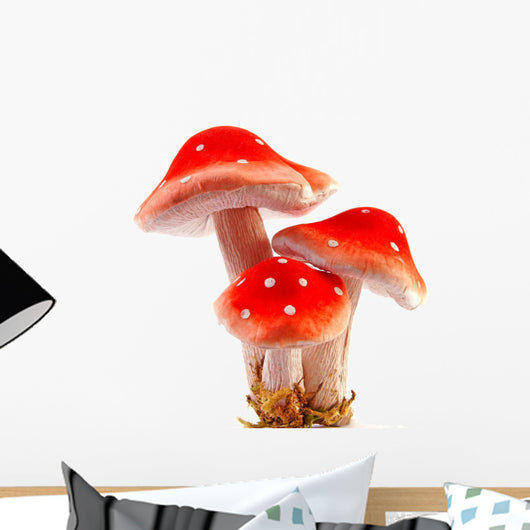 Poisonous Red Mushroom Wall Decal