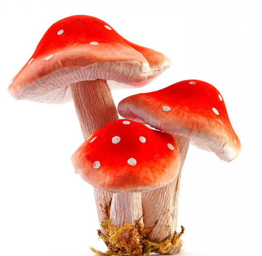 Poisonous Red Mushroom Wall Decal