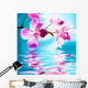 Beautiful orchid flowers reflected in water Wall Mural