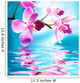 Beautiful orchid flowers reflected in water Wall Mural